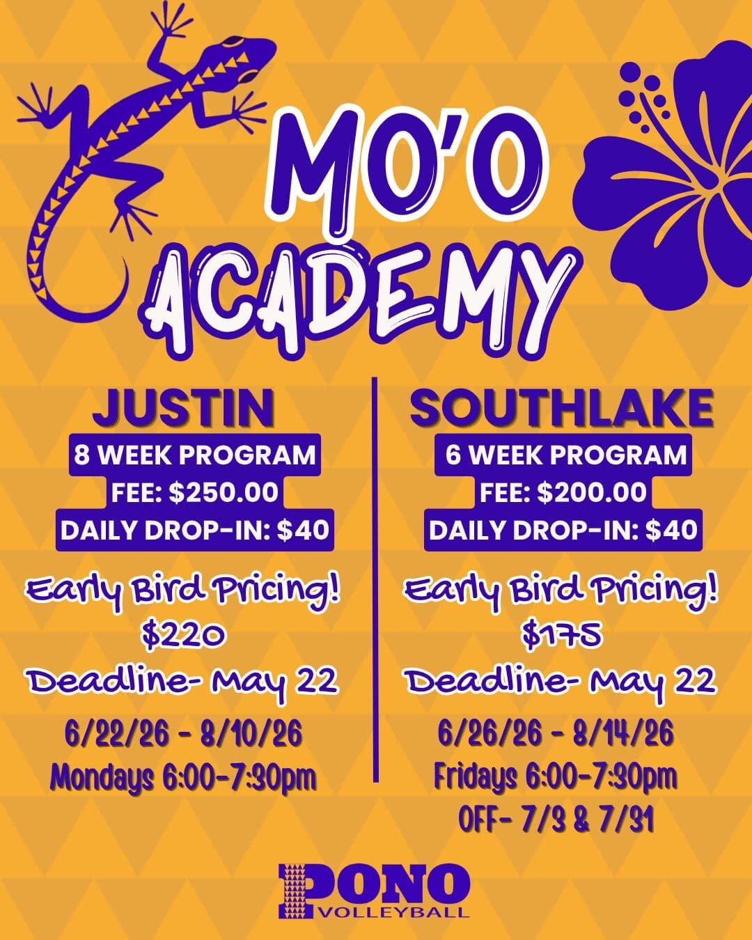 Mo'o Academy
